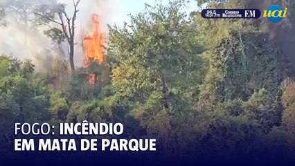 Incêndio atinge parque no Bairro Castelo