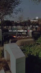 ALLAH PAK sb ki magfirat farmay