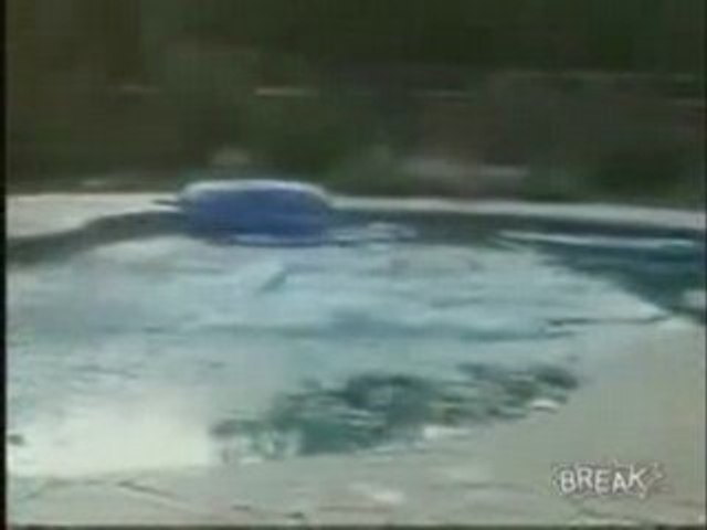 Kid Gets Pushed Into Pool With iPhone