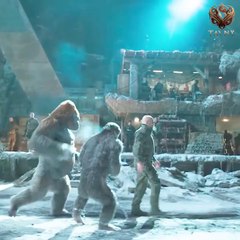 Brave Monkey || Most viral video