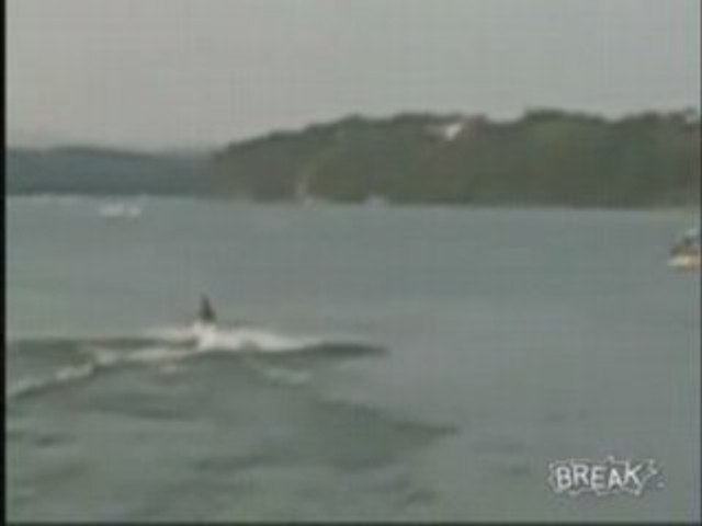 Another Cool Frisbee Trick