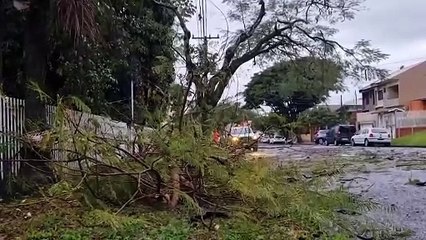 Télécharger la video: Caminhão enrosca em galhos de árvore e Bombeiros são acionados para fazer poda