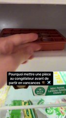 Mettre une pièce de monnaie au congélateur avant de partir en vacances peut vous sauver !