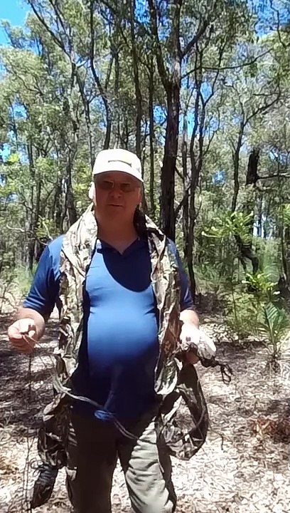DD Superlite in a Snake Sking Cover
