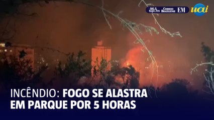 Após 5 horas, fogo segue intenso em incêndio em parque no bairro Castelo