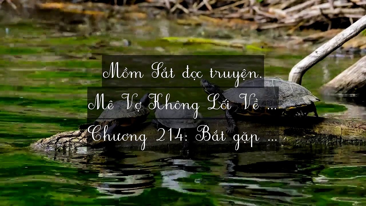 Chương 211-220: Mê Vợ Không Lối Về