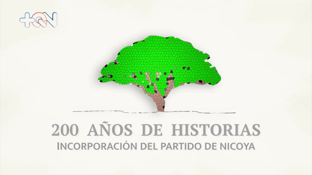 mqn-5-estructurado-110724