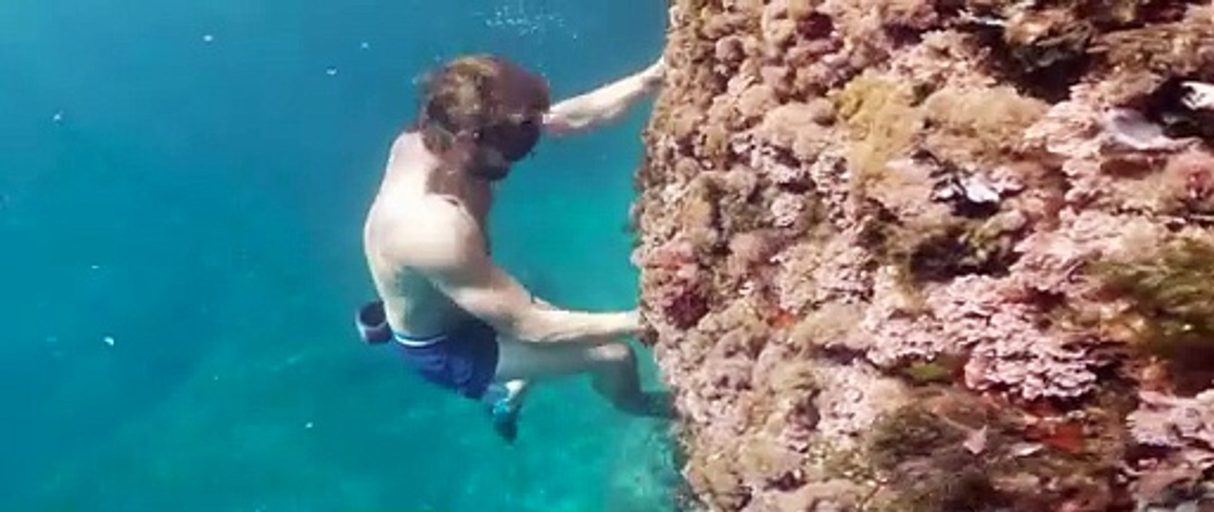 Une Araignée au Plafond | movie | 2021 | Official Trailer