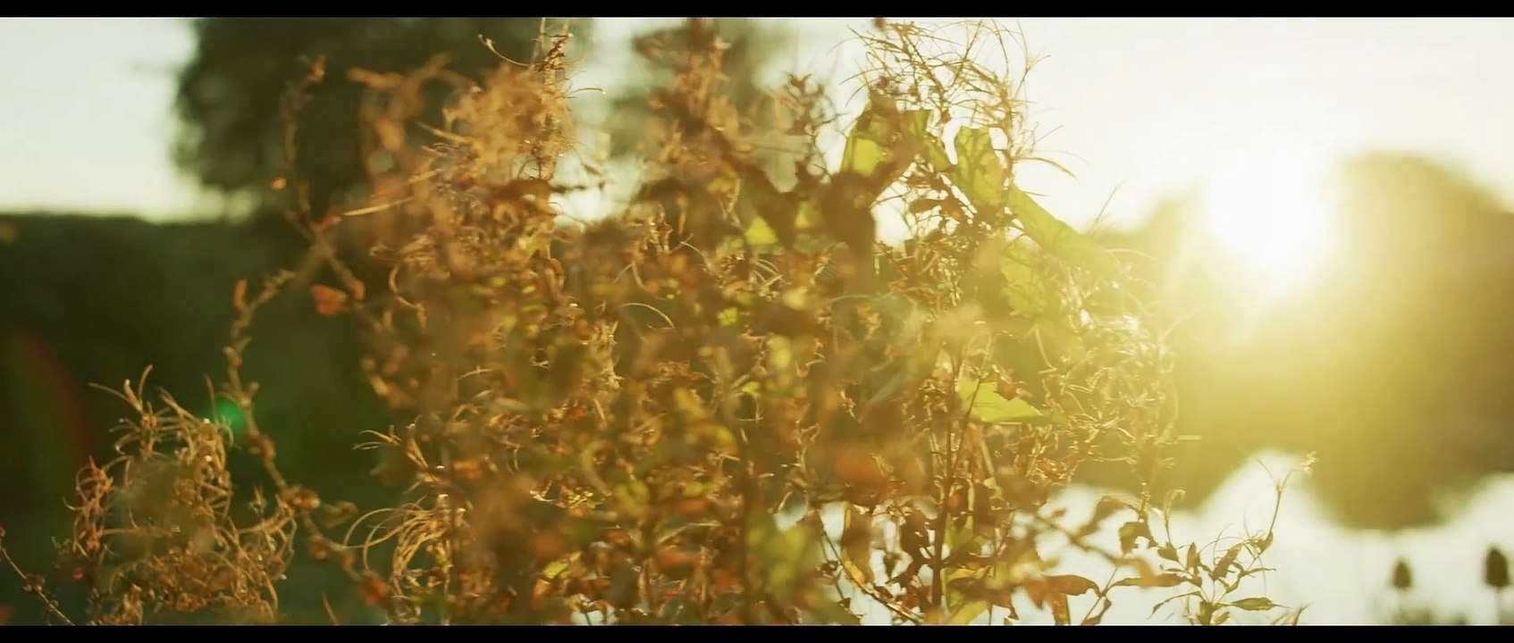 Mutant River - Blutiger Alptraum | movie | 2018 | Official Trailer