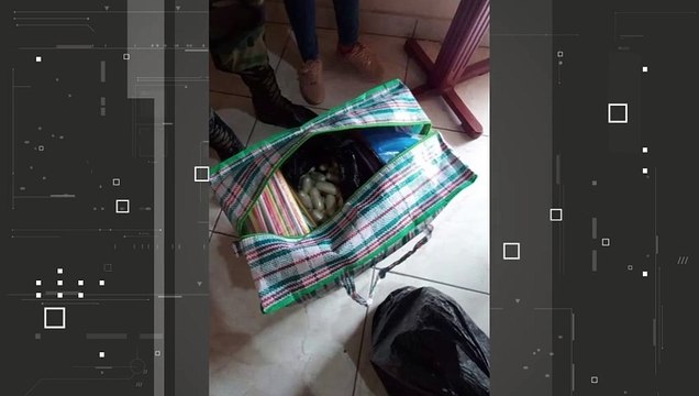 38 IMPUTAN MUJER CAPSULAS T.1.17.SGD