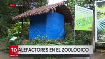 Lonas, calentadores y alimentación, las medidas que toma el Zoológico de Santa Cruz ante el frío