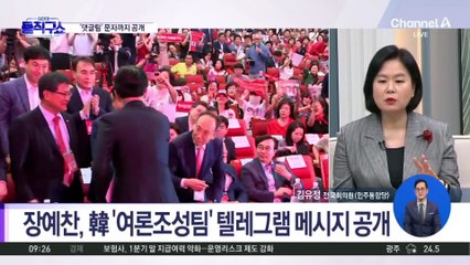 장예찬, 韓 ‘여론조성팀’ 텔레그램 메시지 공개
