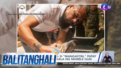 Philippine eagle na si "Mangayon", patay nang tamaan ng bala ng marble gun | Balitanghali