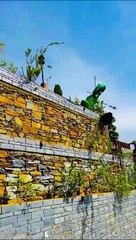 Beauty, Of, Swat, in, Pakistan,