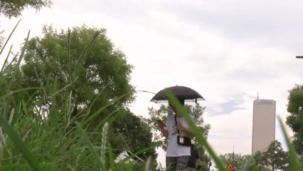 [날씨] 더위에 초미세까지 기승...주말 내륙 찜통, 남해안 장맛비 / YTN