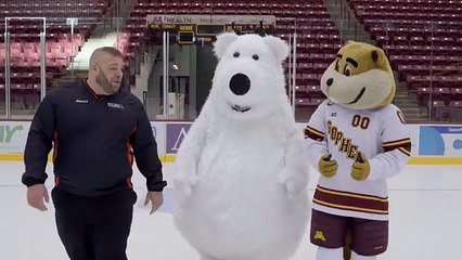 A polar bear with funny problems in the ice