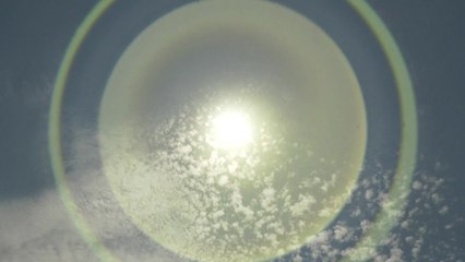 美 폭염 속 차량 방치 아이 사망 잇따라..."올해만 10명" / YTN