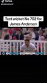 James Anderson in his last test