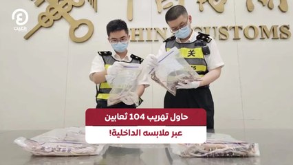 حاول تهريب 104 ثعابين عبر ملابسه الداخلية!