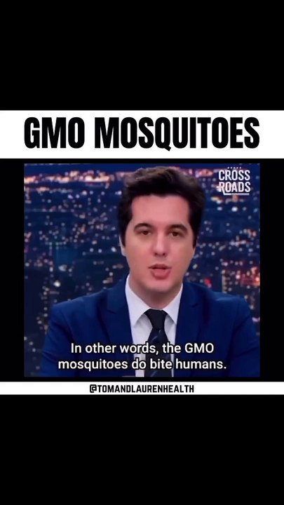 GMO Mosquitoes