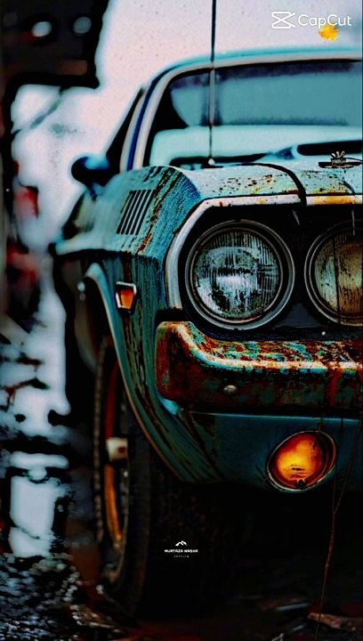 Car lover