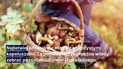 Sposoby na czyszczenie grzybów