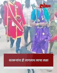 कोल्हापूर ते पंढरपूर पायी दिंडीतून निघाले श्वान_1