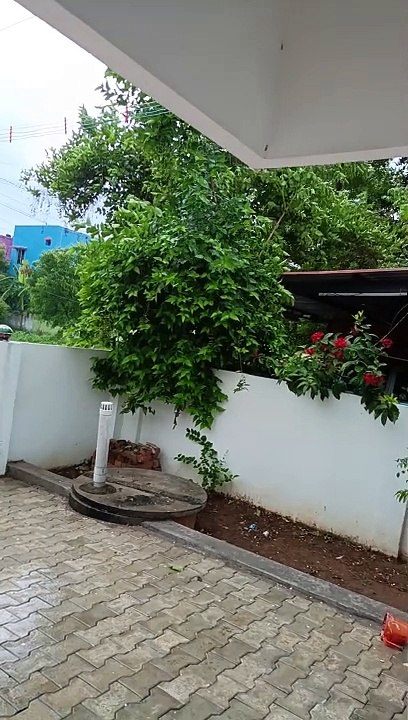 Heavy Rain In Vempampattu