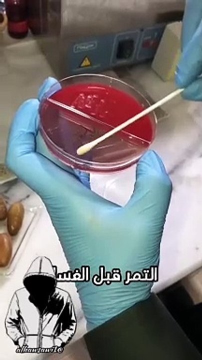 VID-20240710-WA0017