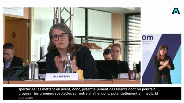 Attribution des fréquences de la télévision numérique terrestre (TNT) : audition du projet Humour TV