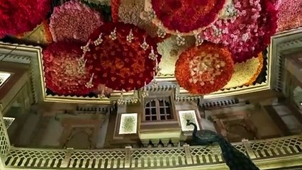 Under the guidience of Mrs. Nita Ambani’s vision, the Ambani family celebrates Anant and Radhika's wedding with blessings of Kashi Vishwanath, the event reflects the city’s spiritual and cultural grandeur.  #ARWeddingCelebrations #NitaMukeshAmbaniCultural