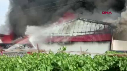 İznik'te soğuk hava deposunda yangın