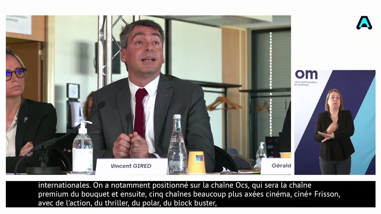 Attribution des fréquences de la télévision numérique terrestre (TNT) : audition du projet "Canal + Cinema(s)"