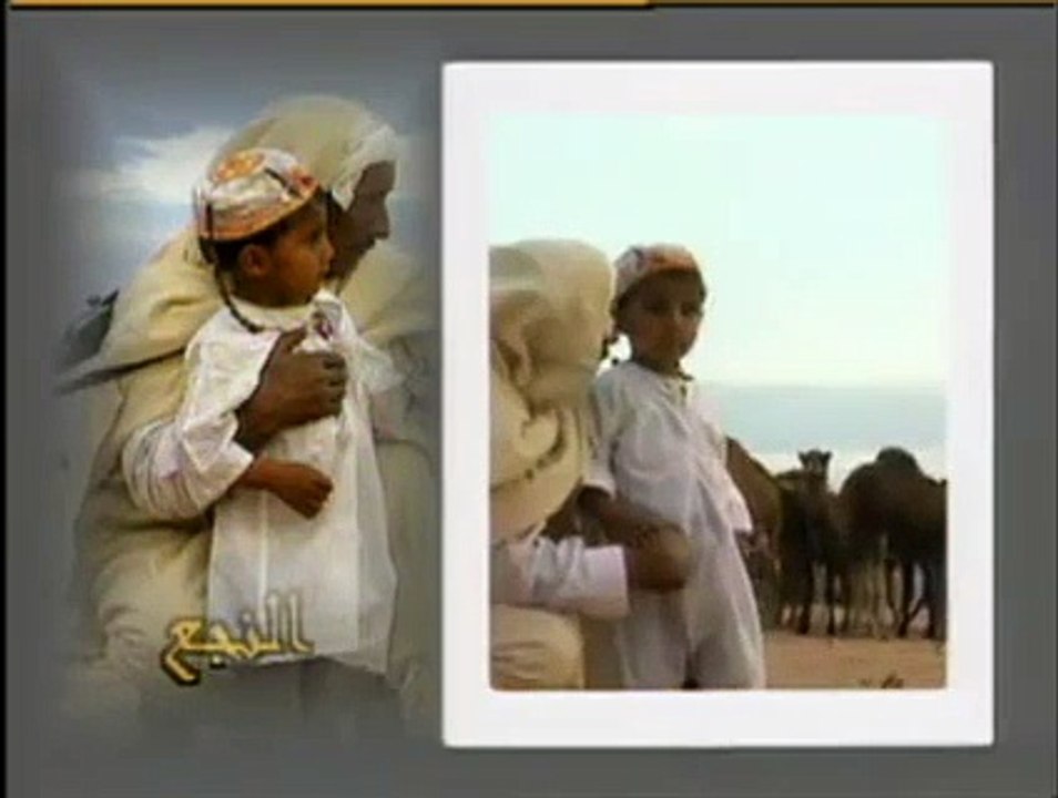 سيف النصر-الشاهد