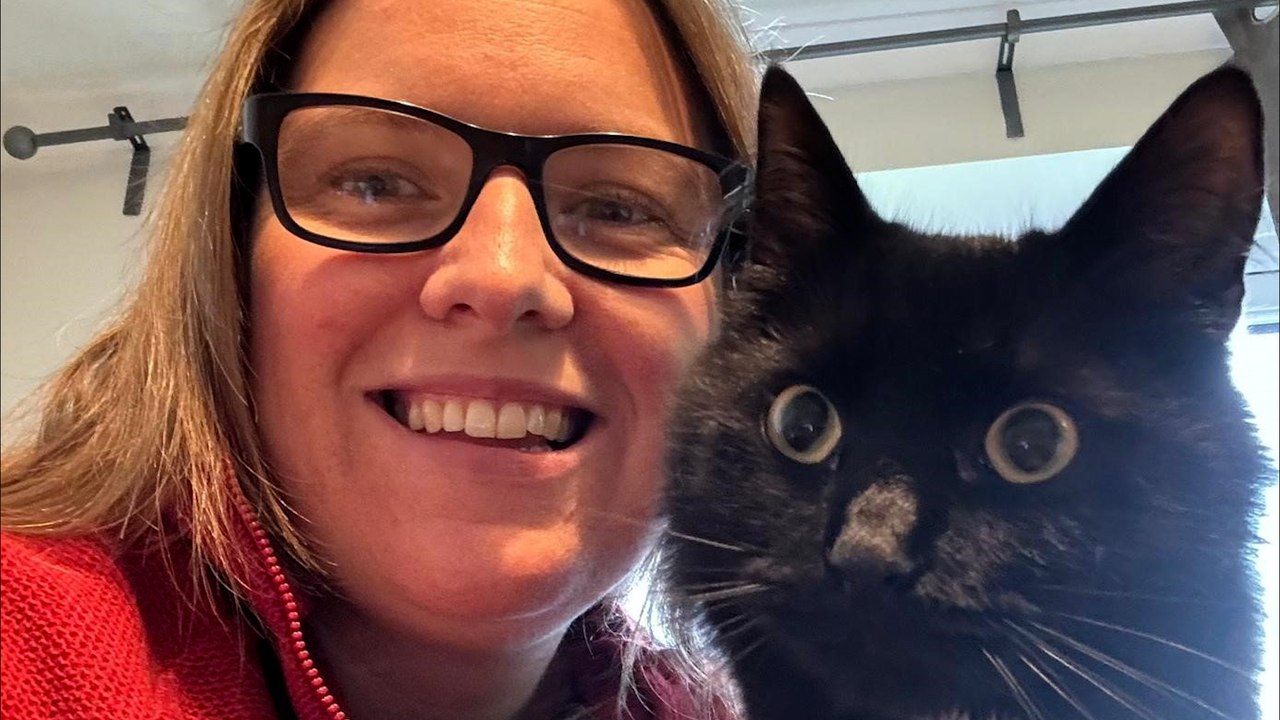 Cat won't stop stealing neigbours' clothes and bringing them home