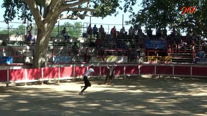 Ecole taurine de Remoulins 11 Juillet 2024