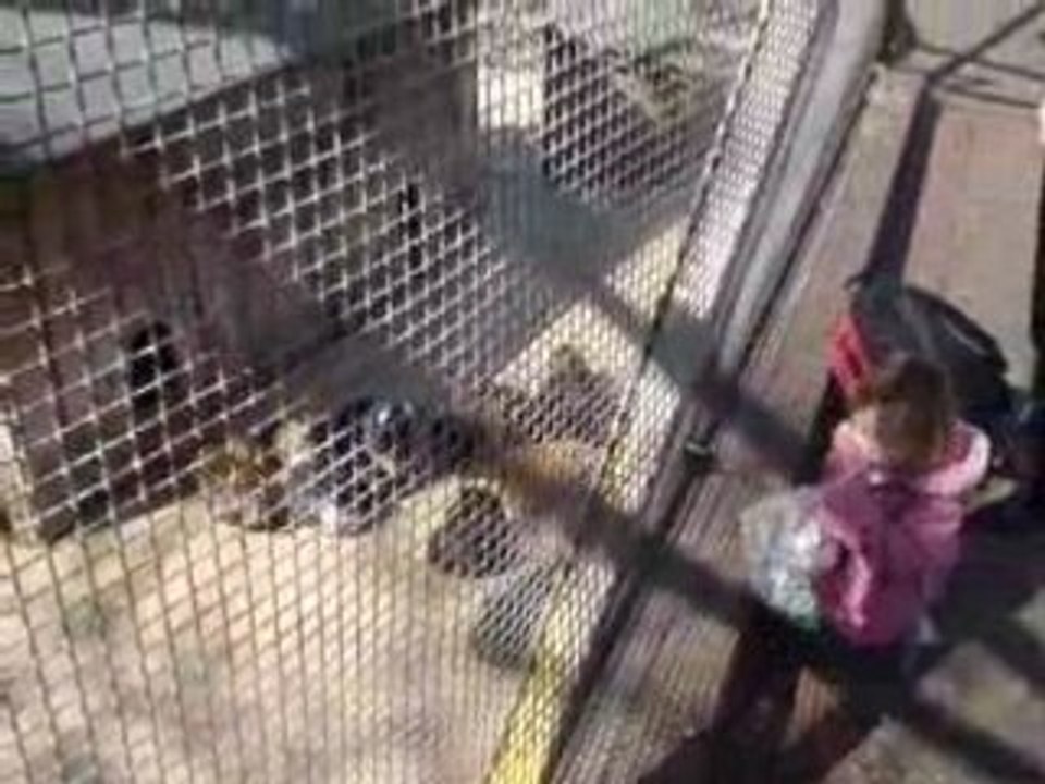 MOV00136