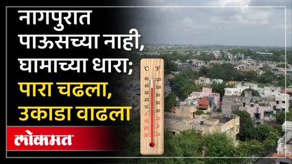 वेधशाळेने दिला जोरदार पावसाचा इशारा मात्र नागपुरात पारा चढला असून उकाडा वाढलाय
