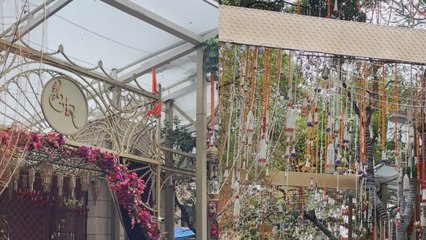 Anant Radhika Wedding: Ambani House Antila की शानदार सजावट की inside video आई सामने, Video Viral