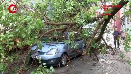 Kağıthane'de otomobilin üzerine ağaç devrildi