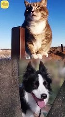 हमारे जुगाड़ का नतीजा || आचार्य प्रशांत