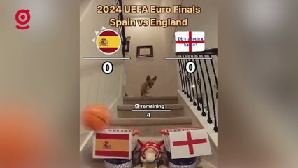 Fenomen Köpekten EURO 2024 Final Tahmini 🐶