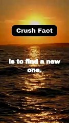 The Best Way to Get Over a Crush: Find a New One!