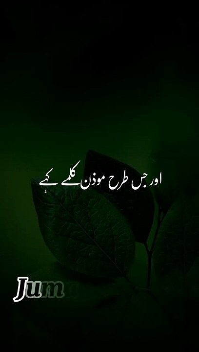 Islamic qoutes