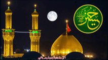 sultan e karbala ko hamara salam ho