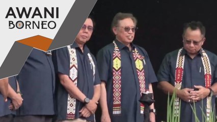 Sarawak tambah kawasan tanaman padi