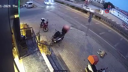 Kazada 2 otomobil arasında kalan köpek kıl payı kurtuldu