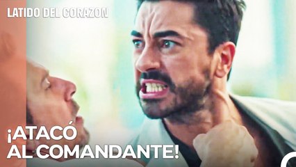 Los Nervios De Ali Han Aumentado - Latido Del Corazon