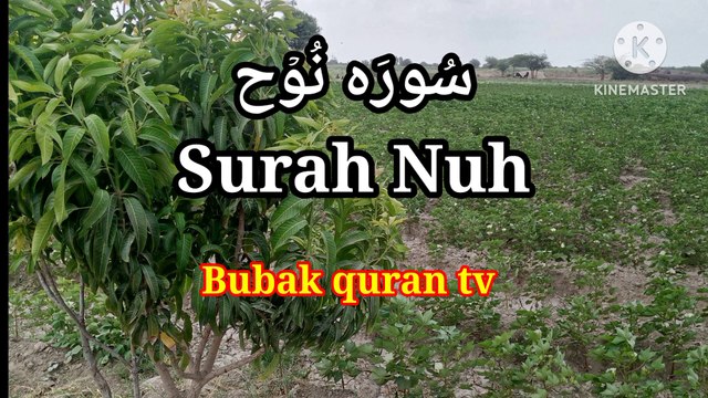 Surah Nuh | Tilawat Surah Al Nuh | quran recitation |learn quran |