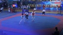 Ribuan Atlet Berlaga dalam Kejuaraan Kejati  NTT Taekwondo Open Tournament II 2024